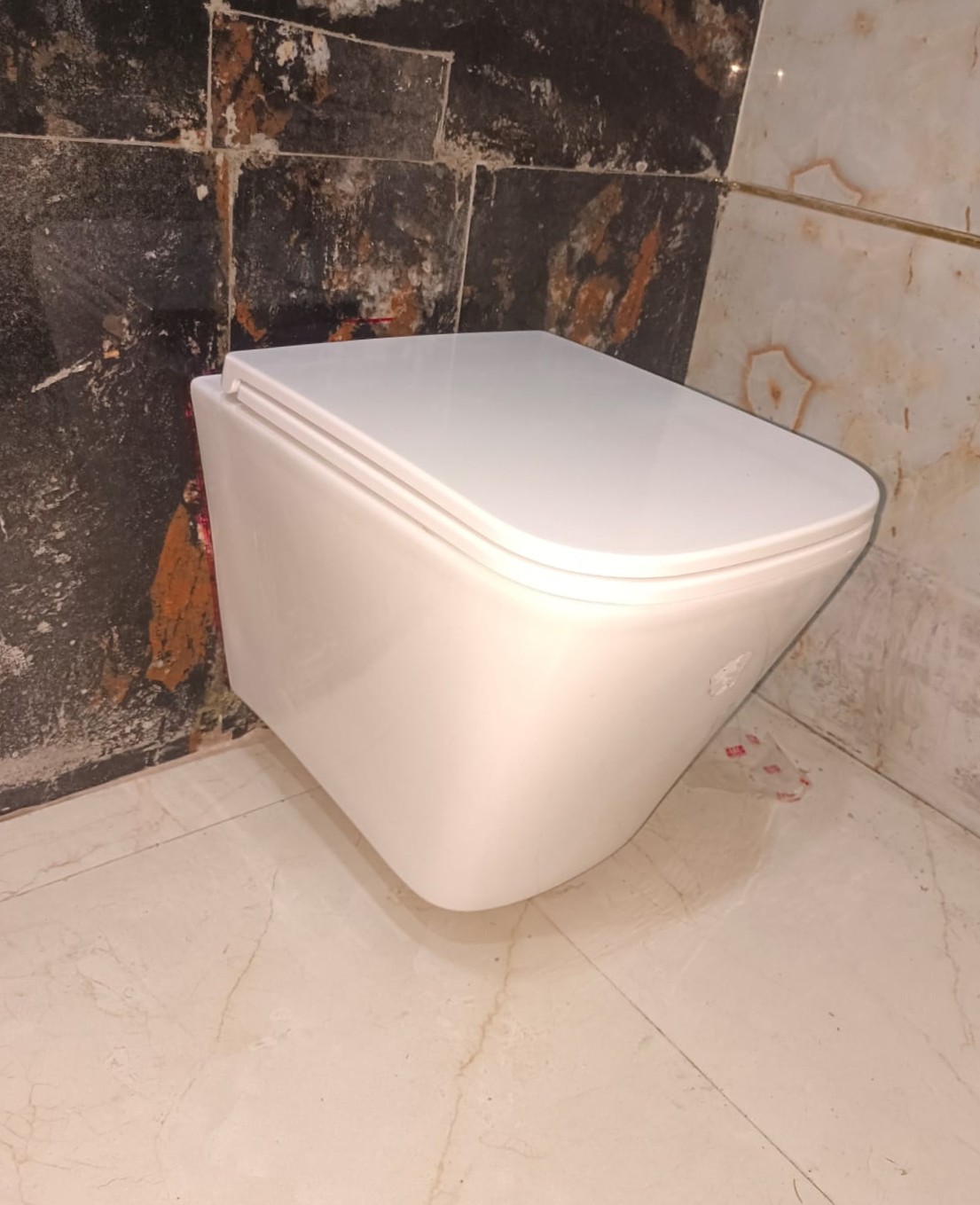 Toilet Repair